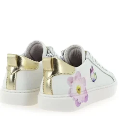 23134035 - Blanc Multi