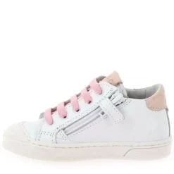 23132045 - Blanc Rose