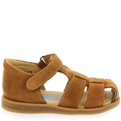 1235 - Camel