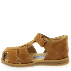 1235 - Camel
