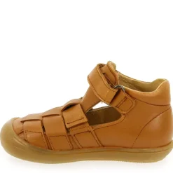 1149 - Camel