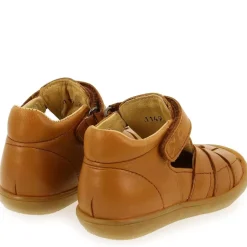 1149 - Camel