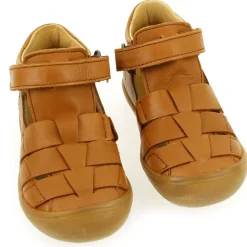 1149 - Camel