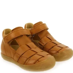 1149 - Camel