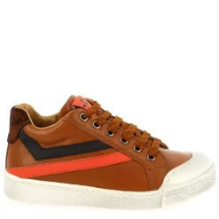 8161 - Cognac