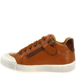 8161 - Cognac