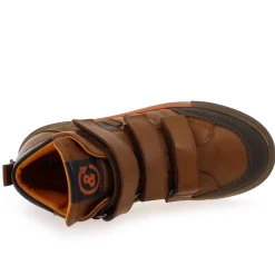 2511 - Cognac