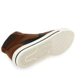 9982 - Cognac