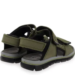 73983 - Kaki