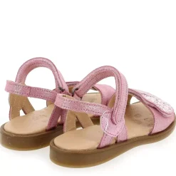 5500 - Rose