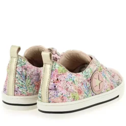 5602 - Rose Multi