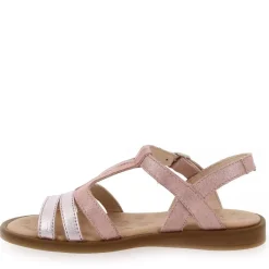9886 Pu - Rose