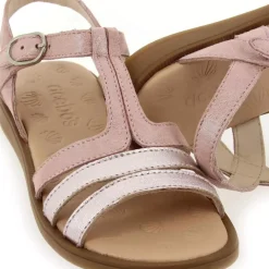 9886 Pu - Rose