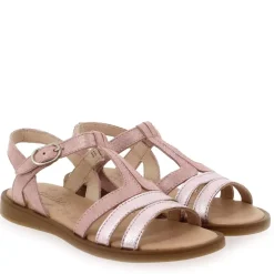 9886 Pu - Rose