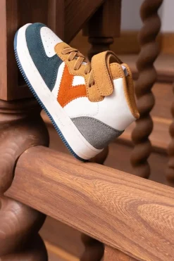 1124118 Tiempo - Camel Multi