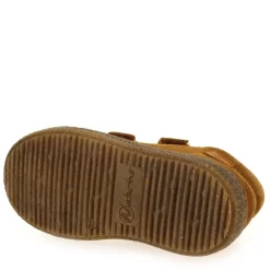 Albus Vl - Cognac