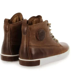 Am02 - Cognac