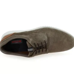 Aristo - Taupe