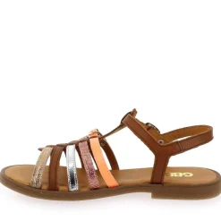 Bangkok + - Camel Multi