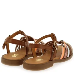 Bangkok + - Camel Multi