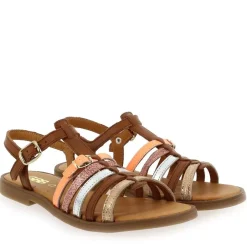 Bangkok + - Camel Multi