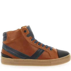Basile H22 - Camel Bleu