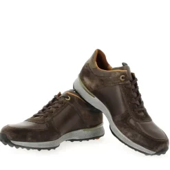Bellingham - Marron Bleu
