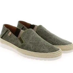 Bertin - Kaki