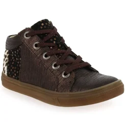 Caligo - Bronze Leopard