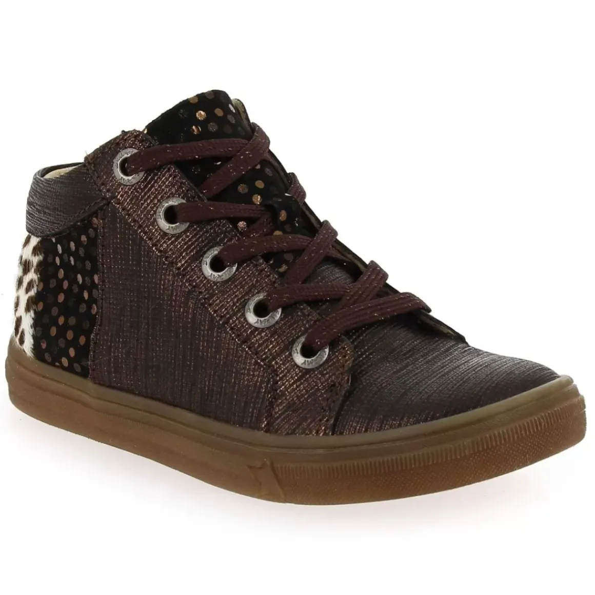 Caligo - Bronze Leopard