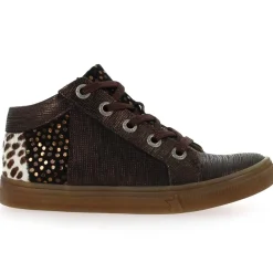 Caligo - Bronze Leopard