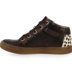 Caligo - Bronze Leopard