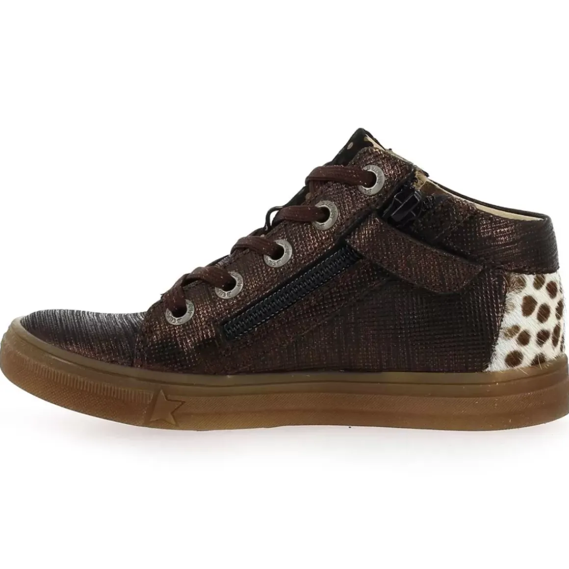 Caligo - Bronze Leopard