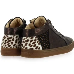 Caligo - Bronze Leopard