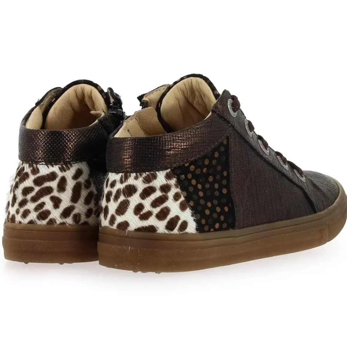 Caligo - Bronze Leopard