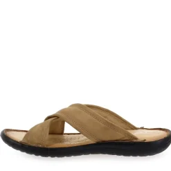 439003 - Camel
