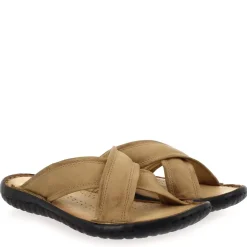 439003 - Camel