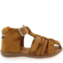 Carigo - Camel