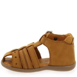 Carigo - Camel