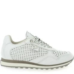 C848 E23 - Blanc Gris