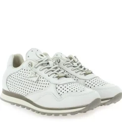 C848 E23 - Blanc Gris