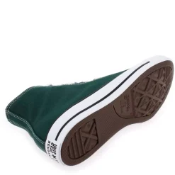 Chuck Taylor All Star Seasonal H23 - Vert Sapin