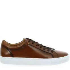 4356 - Cognac