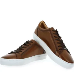 4356 - Cognac