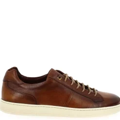 1426 - Cognac