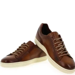 1426 - Cognac