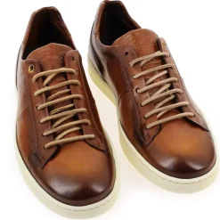 1426 - Cognac
