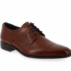9668 - Cognac
