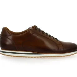 5000 245 - Cognac
