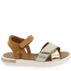 Evi - Dore Camel
